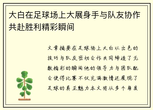大白在足球场上大展身手与队友协作共赴胜利精彩瞬间