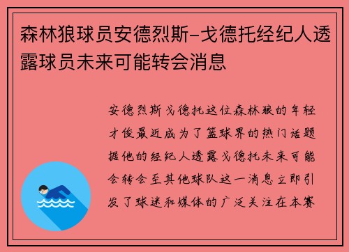 森林狼球员安德烈斯-戈德托经纪人透露球员未来可能转会消息