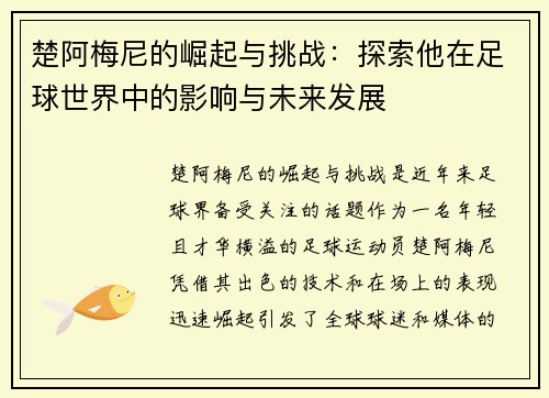 楚阿梅尼的崛起与挑战：探索他在足球世界中的影响与未来发展