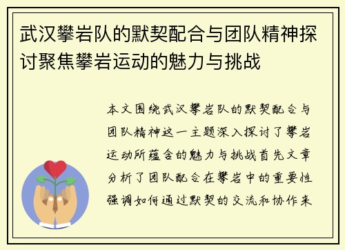 武汉攀岩队的默契配合与团队精神探讨聚焦攀岩运动的魅力与挑战